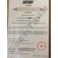 Наручные часы Наручные часы Skmei 1251